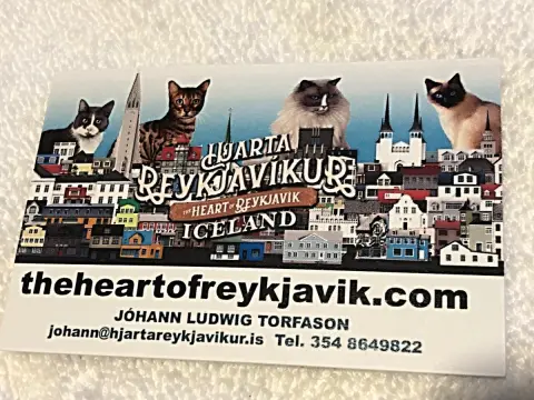 Reykjavík, vánoční obchod