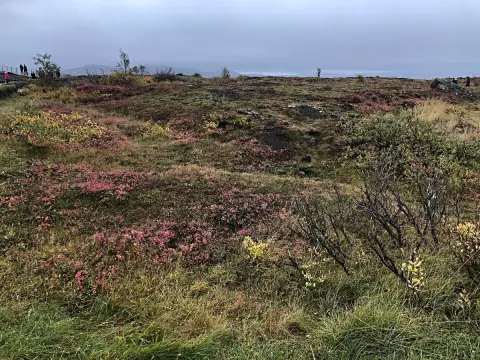 Thingvellir