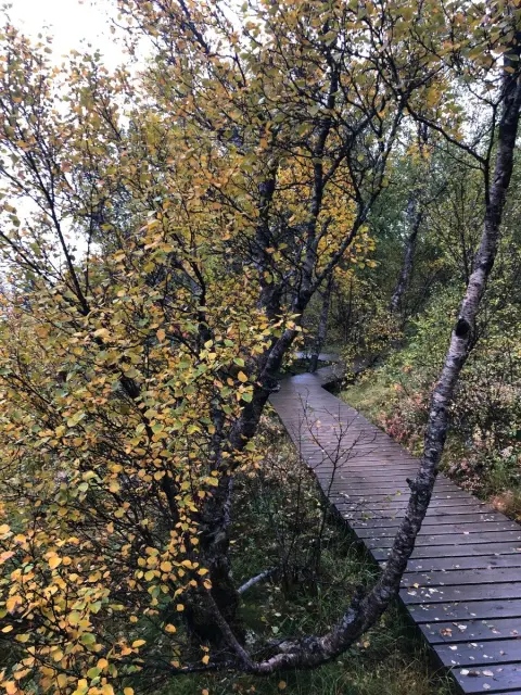 Thingvellir