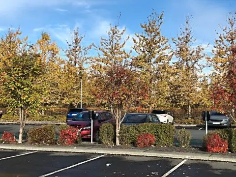 Reykjavík, univerzitní parkoviště