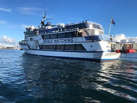 Faxafloi, plavba na velryby