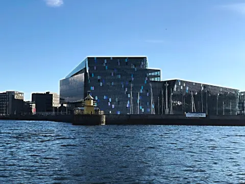 Faxafloi, plavba na velryby