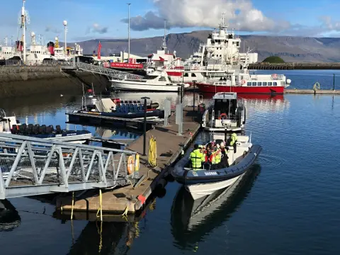 Faxafloi, návrat z whale watching
